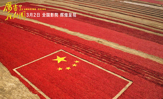成人影视片