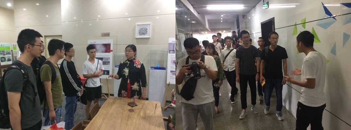 成人影视片